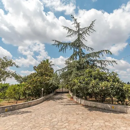 Il Gelso Bed & Breakfast Lecce
