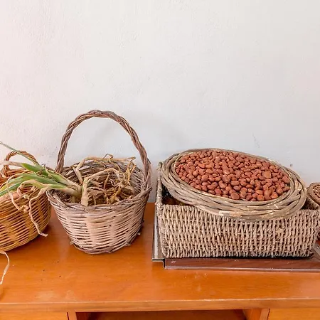 Il Gelso Bed & Breakfast 3*