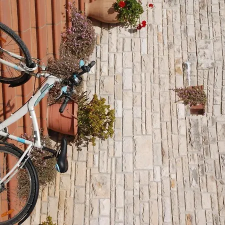 Il Gelso